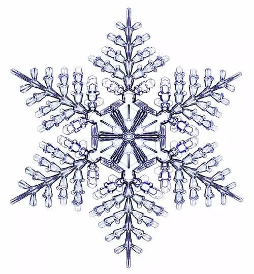 微信图片_20211207170813 (1).jpg