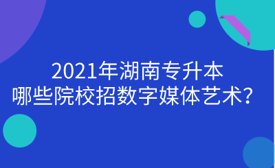 2021年湖南专升本哪些院校招数字媒体艺术?.png