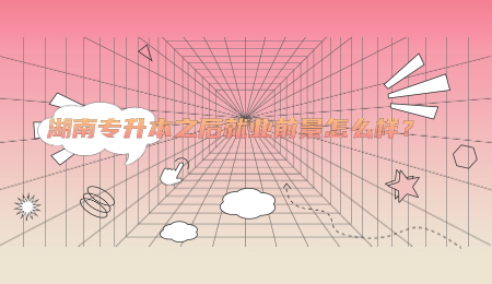 湖南专升本之后就业前景怎么样?