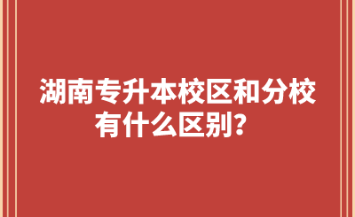 湖南专升本校区和分校有什么区别?.png