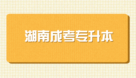 湖南成考专升本