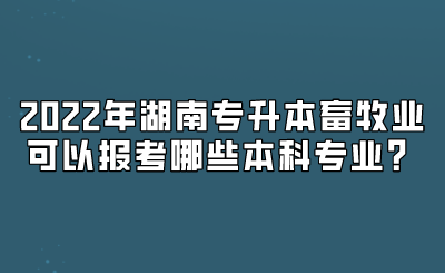 2022年湖南专升本畜牧业可以报考哪些本科专业?.png